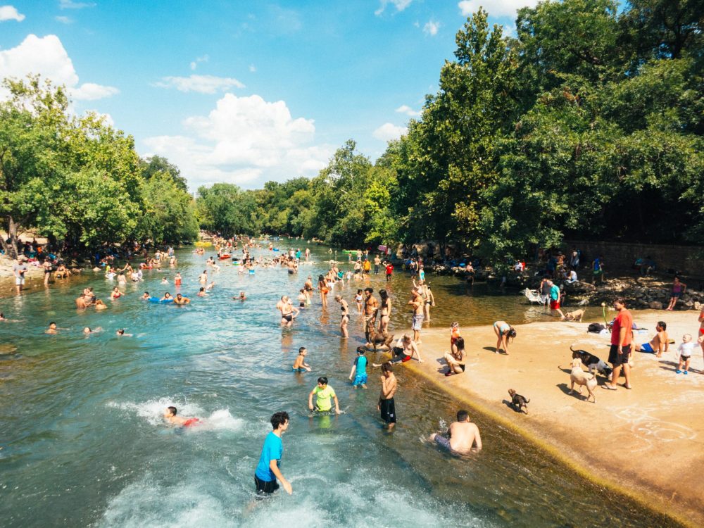 a group of people swimming in a body of water